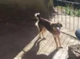 Maggie
