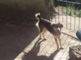 Maggie