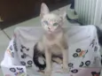 Smeagol