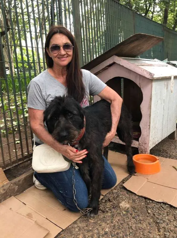 Cachorro raça SRD idade 3 anos nome Preta