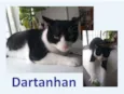 Dartanham
