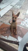 Ralph