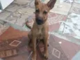 Ralph