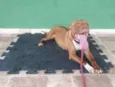 Estrela