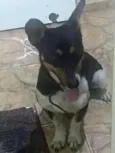 Nick