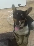 Nick