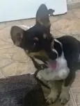 Nick