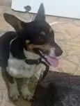 Nick