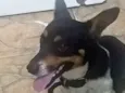 Nick