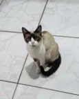 Sabrina