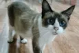 Sabrina