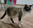 Sabrina