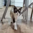 Sabrina