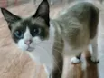 Sabrina