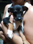 Jack