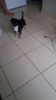 zafira