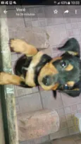 Baby