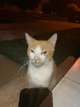 Thomas