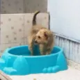 Nairóbi