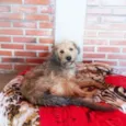 Nairóbi