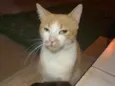 Thomas