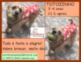 Totozinho