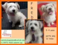 Fred