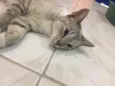 Dora