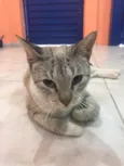 Dora