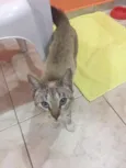 Dora