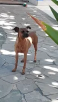 Não sei o nome