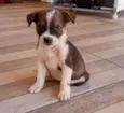 Jack