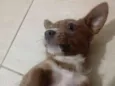..