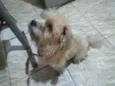 Marley