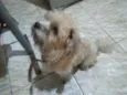 Marley