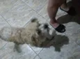 Marley