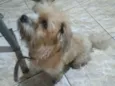 Marley