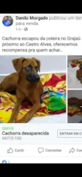 Céu
