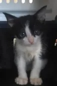 Tom