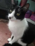 Nomes diversos 