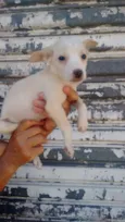 Bobby