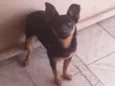 Bombom