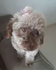 Mel