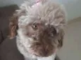 Mel