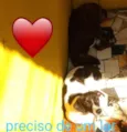 Sem Nome 