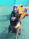 Sara
