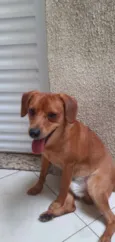 Loky