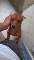 Loky