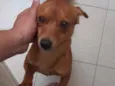 Loky