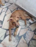 Chili 